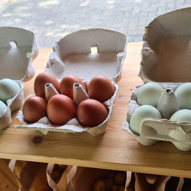 eggs from happy chickens