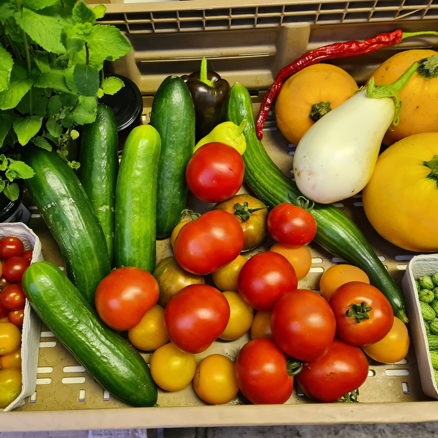 Vegetable box - free delivery within a 15km radius