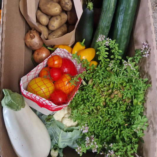 Gemüsekiste ErnteWunder 5-7kg