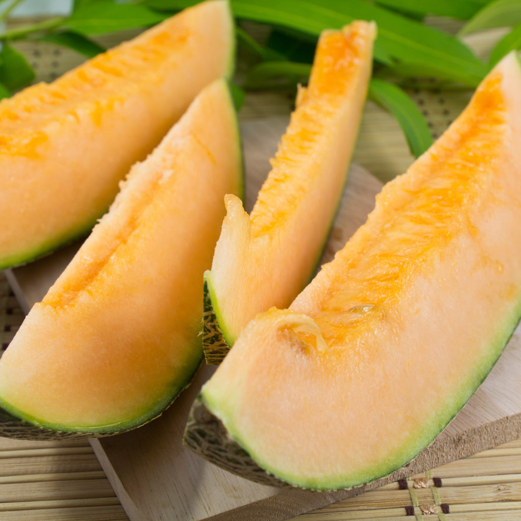 Kürbis, Melonen- und Zucchinipflanzen
