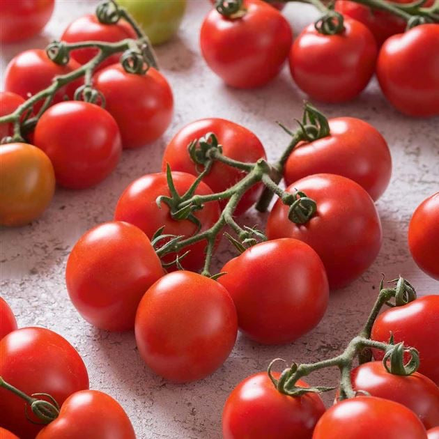 Gemüse-Starterset: Tomate & Gurke (6er Pack)