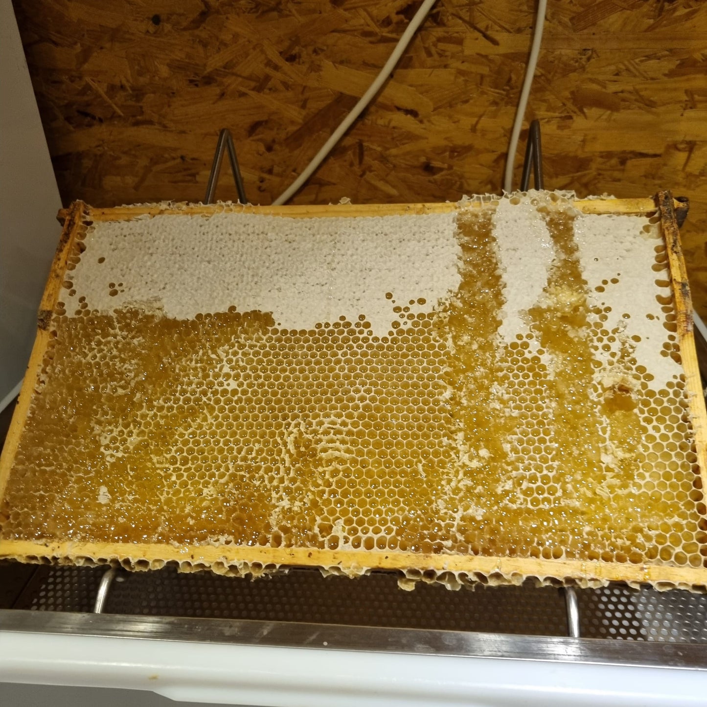 honey from regional beekeepers