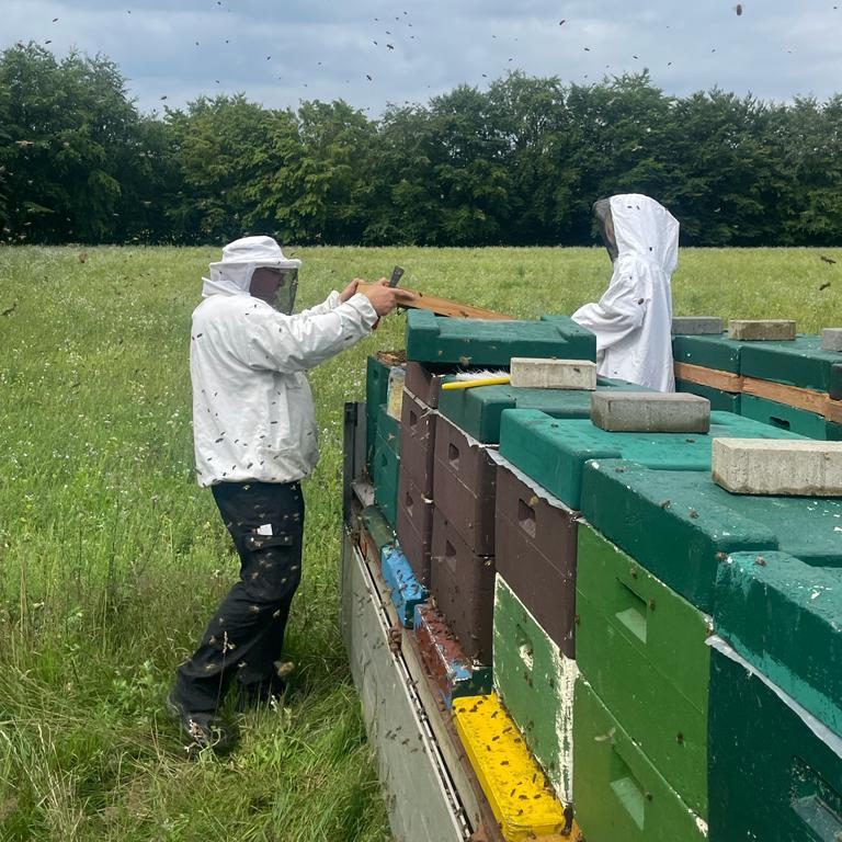 honey from regional beekeepers