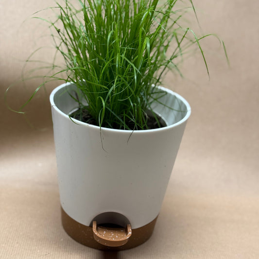 Überstopf selbstbewässernd