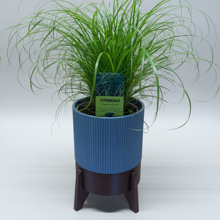Rocket Planter - der Topf mit Wasservorrat