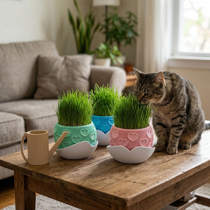 Katzengras Set Cuore