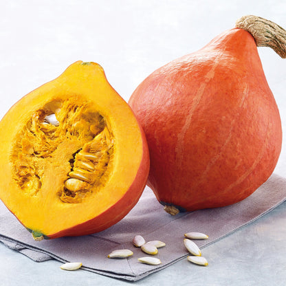 Kürbis, Melonen- und Zucchinipflanzen