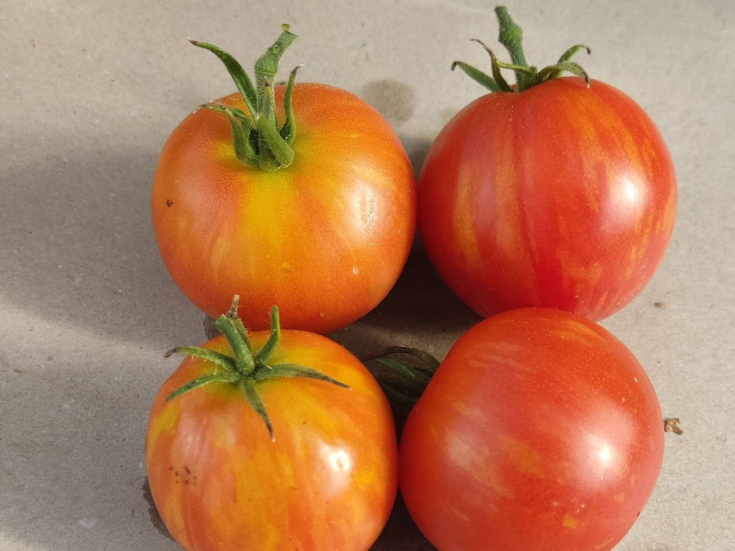 Raritäten Tomatenset (6er Pack)
