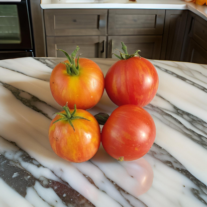 Raritäten Tomatenset (6er Pack)