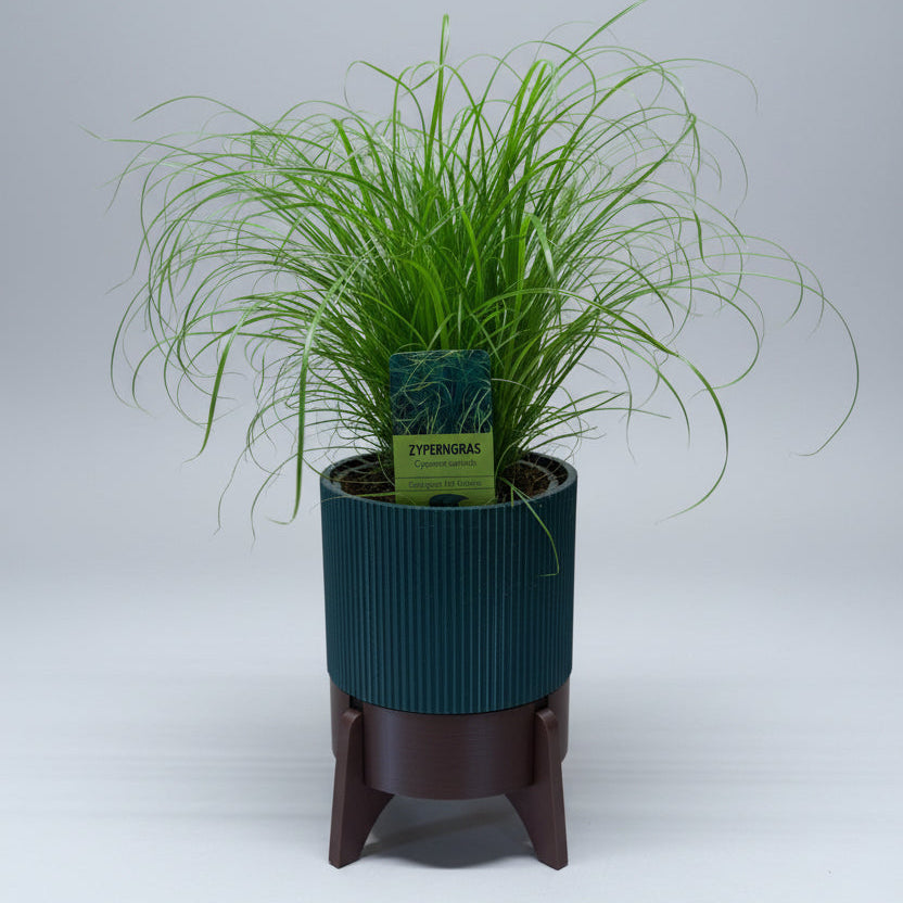 Rocket Planter - der Topf mit Wasservorrat