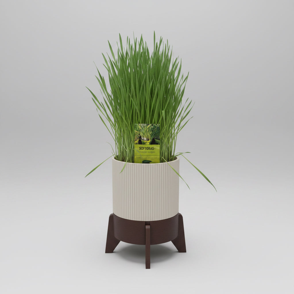 Rocket Planter - der Topf mit Wasservorrat