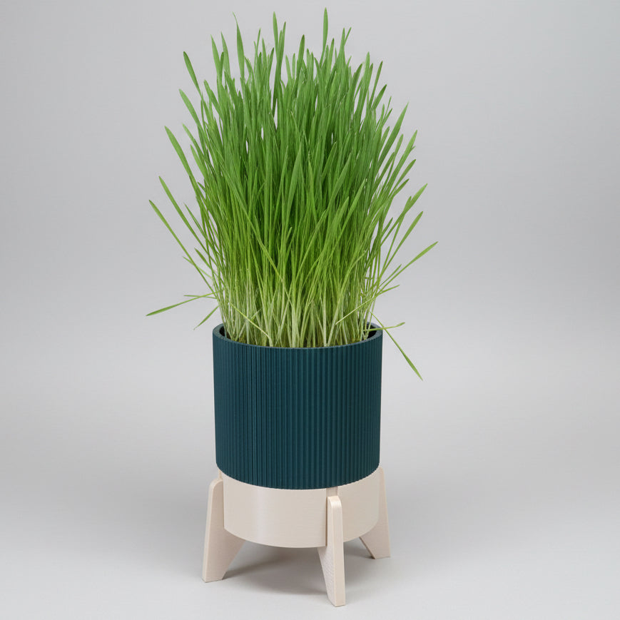 Rocket Planter - der Topf mit Wasservorrat