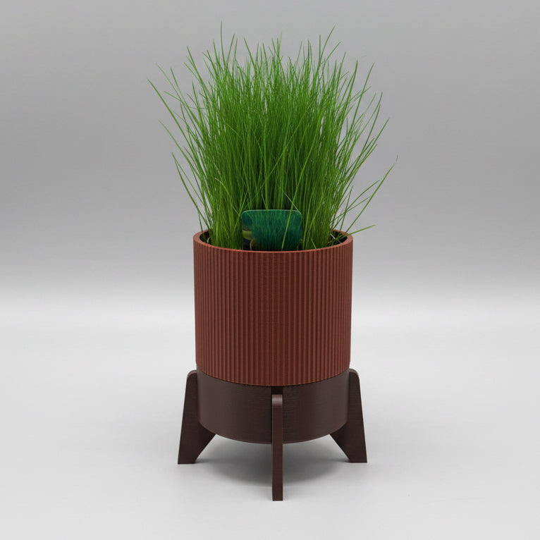 Rocket Planter - der Topf mit Wasservorrat