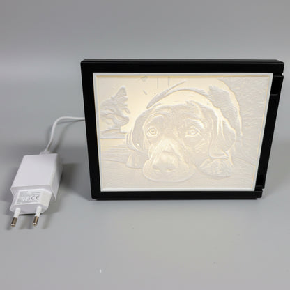 3D Foto Lithophane