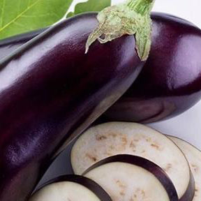 Paprika-, Chili und Auberginenpflanzen