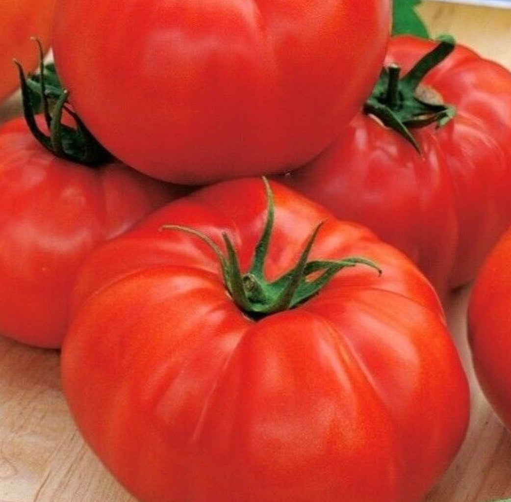 Gemüse-Starterset: Tomate & Gurke (6er Pack)