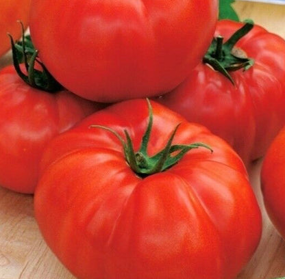 Gemüse-Starterset: Tomate & Gurke (6er Pack)