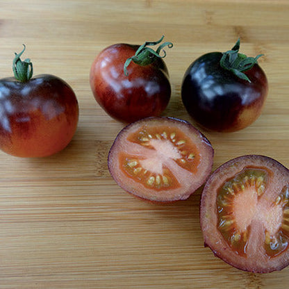 Tomatensaatgut